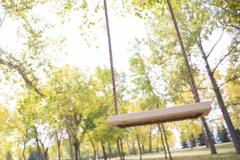 Products For Swingset Movings in use